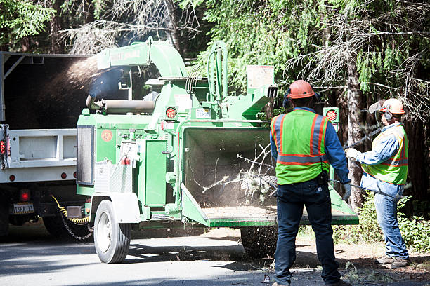 Grass Overseeding in Polkton, NC